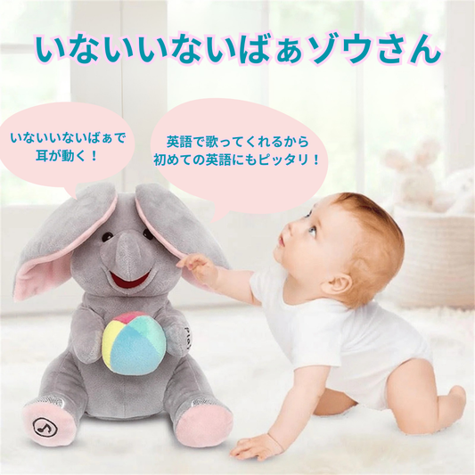 いないいないばぁ!ゾウさん