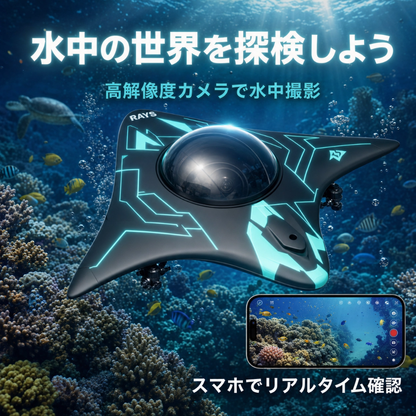 マンタカメラボート！