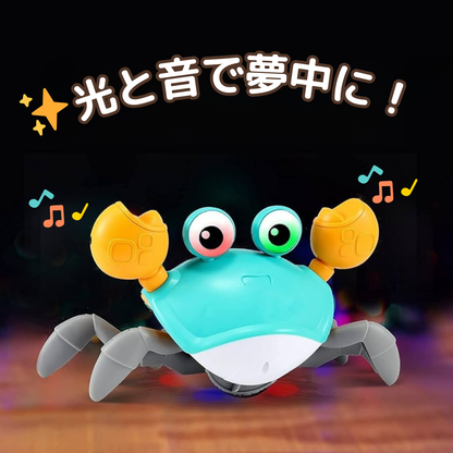 mr.カニカニ
