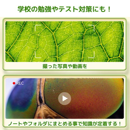 ミニ顕微鏡スコープ